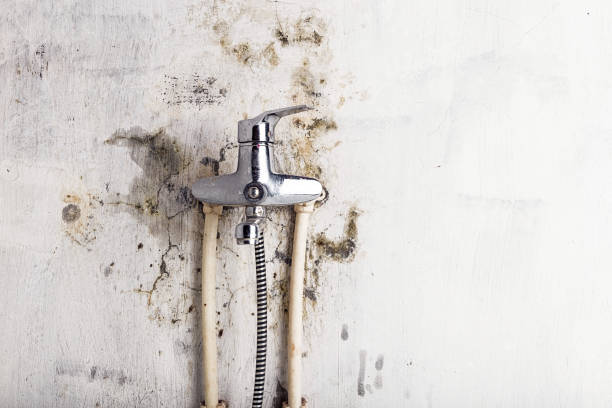 Best Mold Remediation  in Aberdeen, WA
