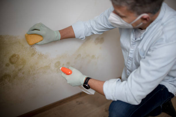 Best Water Damage Restoration  in Aberdeen, WA