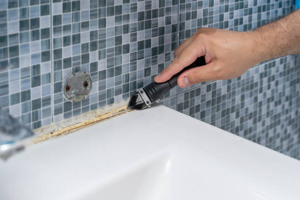 Best Mold Testing and Removal  in Aberdeen, WA