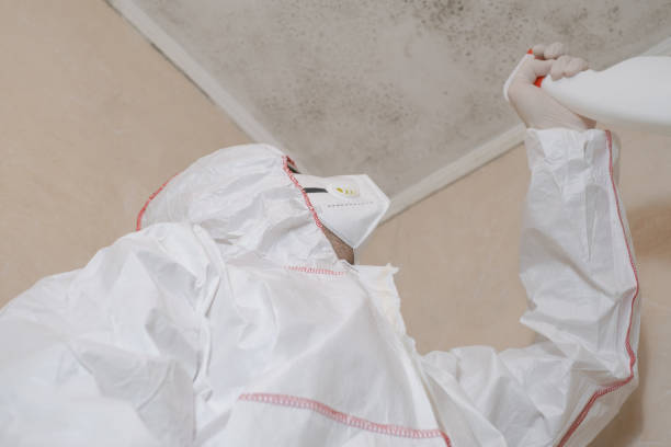 Best Attic Mold Removal  in Aberdeen, WA